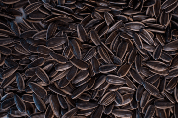 Ягуар соняшник кондитерський